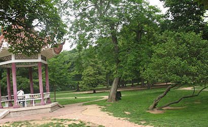 青島楊柳青園林工程有限公司